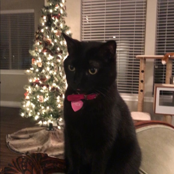 | | S A I N T + H E X | | MAKE AN OFFER & SAVE $$$ - Picture 5 of 8